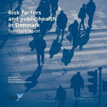 Risk factors and public health in Denmark - Statens Institut for ...