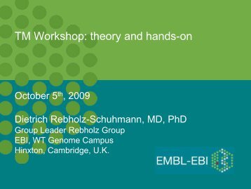 TM Workshop: theory and hands-on