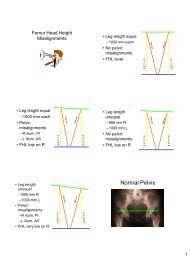 Normal Pelvis