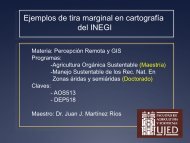Ejemplo de tira marginal en carta INEGI - Juan Jose Martinez.com.mx