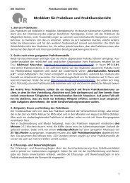 Richtlinien Praktikum DIS 2011