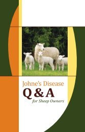 Johne's Q&A for Sheep Owners
