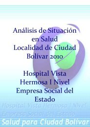 Diagnostico Local Ciudad Bolivar - Secretaría Distrital de Salud
