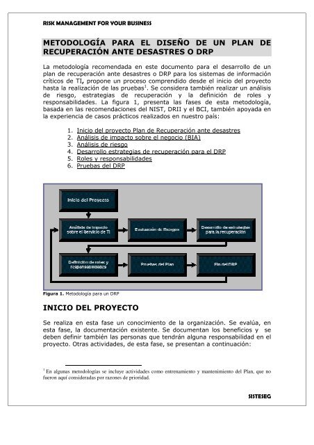 METODOLOGÍA PARA EL DISEÑO DE UN PLAN DE - sisteseg