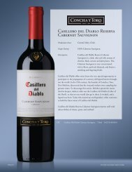 Casillero del Diablo Cabernet Sauvignon - CMAA