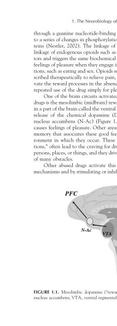 Clinical Textbook of Addictive Disorders 3rd ed - R. Frances, S. Miller, A. Mack (Guilford, 2005) WW