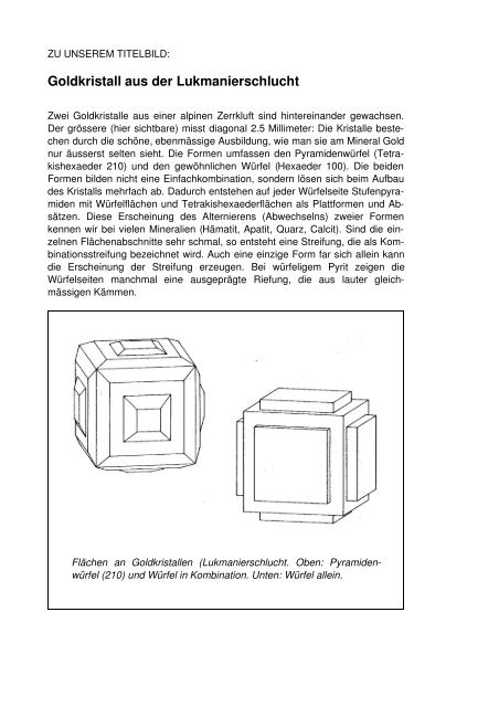 Das Gold von Disentis - Shinguz.ch