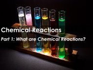 Chemical Reactions - Apple