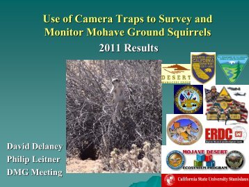 Use of Camera Traps to Survey and Monitor Mohave Ground Squirrels