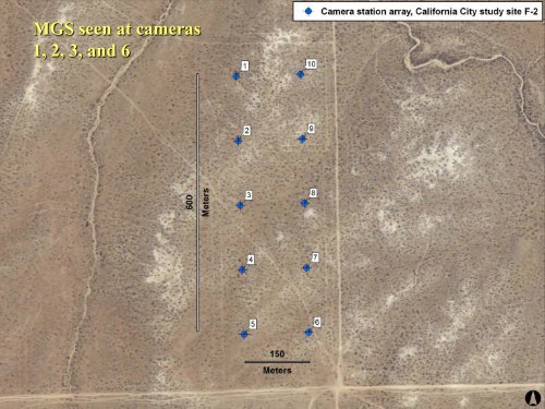 Use of Camera Traps to Survey and Monitor Mohave Ground Squirrels