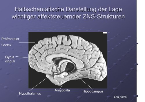 Aktuelle psychosomatische Krankheitsmodelle