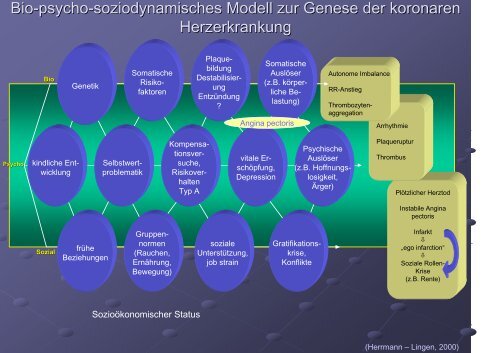 Aktuelle psychosomatische Krankheitsmodelle