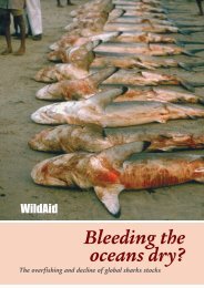 Bleeding the Oceans Dry - WildAid
