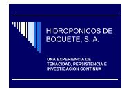 HIDROPONICOS DE BOQUETE, S. A. - cinap