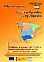 AÃ±o 2009 (pdf) - DirecciÃ³n General de Fondos Comunitarios