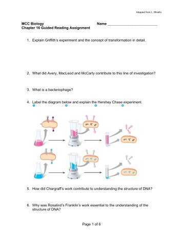 Page 1 of 6 MCC Biology Name Chapter 16 Guided Reading ...