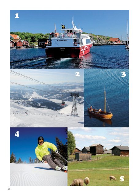 Besöksnäringen i Sverige - Älvdalens kommun