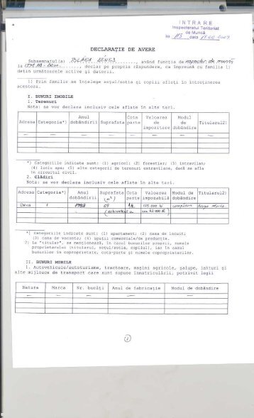 blaga denes - ITM Hunedoara