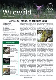 Wald aktuell - Wildwald Vosswinkel