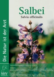 Salbei Salvia officinalis Die Natur ist der Arzt NHV - Bom-Products.de