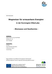 Biomasse und Geothermie - TZ Dresden - TZ Dresden