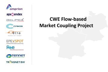 CWE Flow-based Market Coupling Project - Belpex