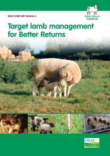 Manual 3 â Target lamb management for better returns - Eblex