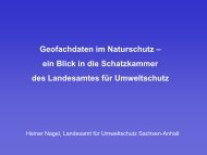 Die Schatzkammer - netzwerk | GIS Sachsen-Anhalt