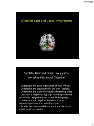 Introduction - Neurometrika