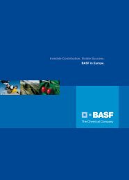 Invisible Contribution. Visible Success. BASF in Europe.