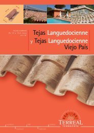 Tejas Languedocienne y Tejas Languedocienne Viejo País - Terreal