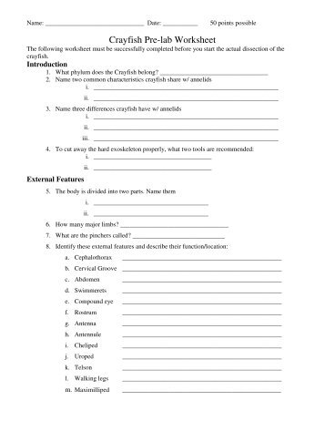 Crayfish Pre-lab Worksheet - Mr.E Science