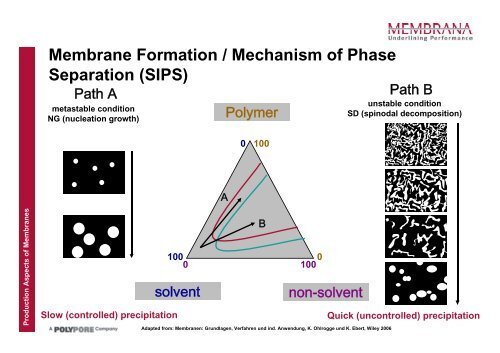 Production Aspects of Membranes used in Medical and Industrial ...