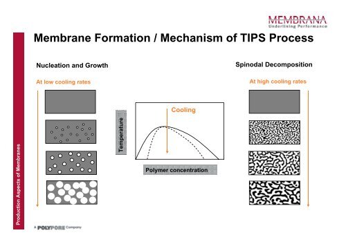 Production Aspects of Membranes used in Medical and Industrial ...