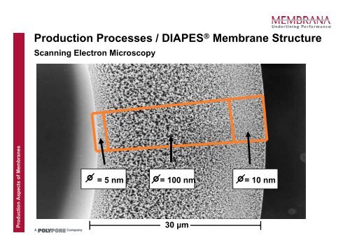 Production Aspects of Membranes used in Medical and Industrial ...