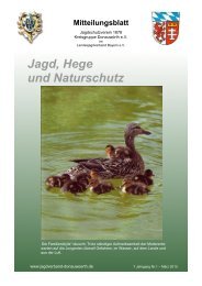 Jagd, Hege und Naturschutz - Kreisjagdverband Donauwörth e.V.