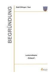 Begründung zum Landschaftsplan der Stadt Dillingen / Saar