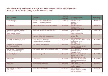 Dokument-Download: Veröffentlichung vergebener ... - Stadt Dillingen