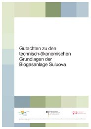 5 Machbarkeitsuntersuchung der Biogasanlage Suluova