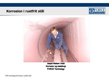 Korrosion i Austenistiske Rustfrie Stål - FMV