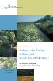 Natuurontwikkeling Natuurpark Roode Beek/Rodenbach - Stroming