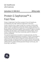 Protein G Sepharose™ 4 Fast Flow