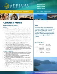 Company Profile - Adriana Resources Inc.