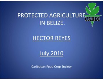 PROTECTED AGRICULTURE IN BELIZE. HECTOR ... - CEDAF