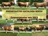 Katalog bikov lisaste pasme 2012 - KGZ Ptuj