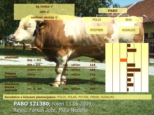 Katalog bikov lisaste pasme 2012 - KGZ Ptuj