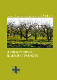 Beleidsdocument - Gemeente Buren