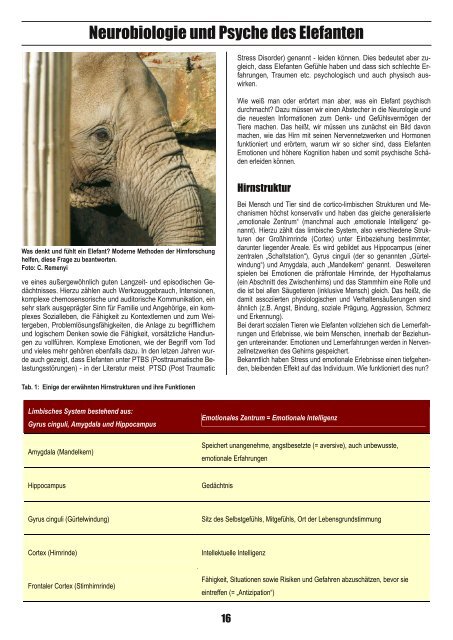 Dr. Marion Garai: Neurobiologie und Psyche des Elefanten