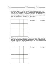 Dihybrid Cross worksheet