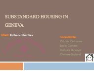 Substandard Housing in Geneva - Final Project